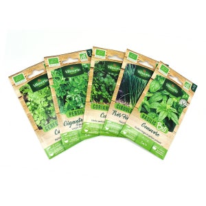 Cultivea - Kit D'herbes Aromatiques Bio* – (Graines menthe, Coriandre,  Thym) à Prix Carrefour