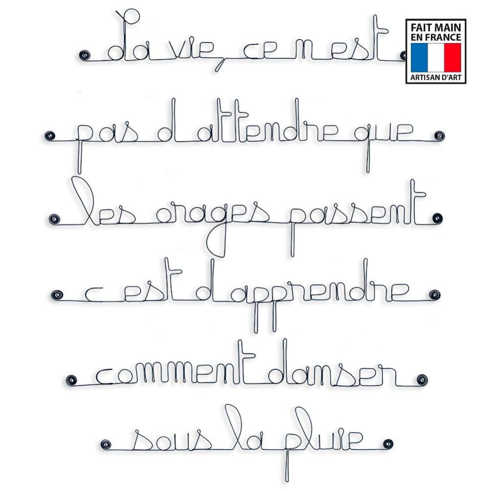 Citation La Vie Ce N Est Pas D Attendre Que Les Orages Passent C Est D Apprendre Comment Danser Sous La Pluie Leroy Merlin