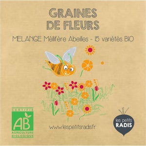 BeGreat Mélange de Fleurs OwnGrown 100g Graines d'Abeilles - Prairie  Florale Conviviales, Couleur, Jusqu'à 100m²