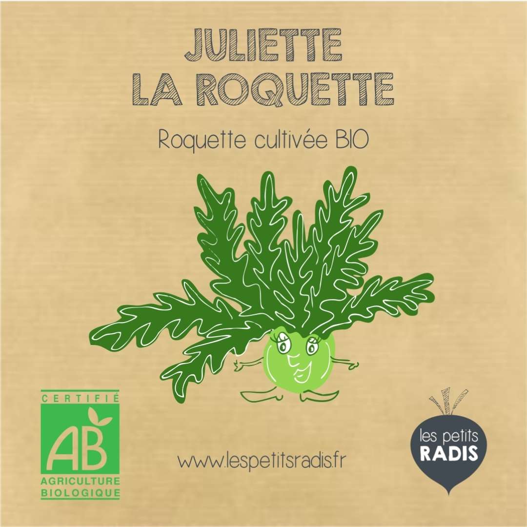 Kit Légumes Insolites Bio Les Petits Radis