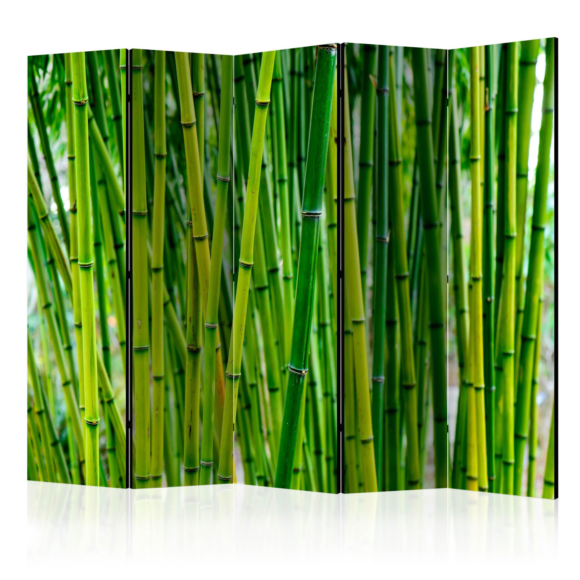 Paravento Decorativo “Humid Forest II” – Divisorio Per Ambienti Interni, 225x172 Cm - 4