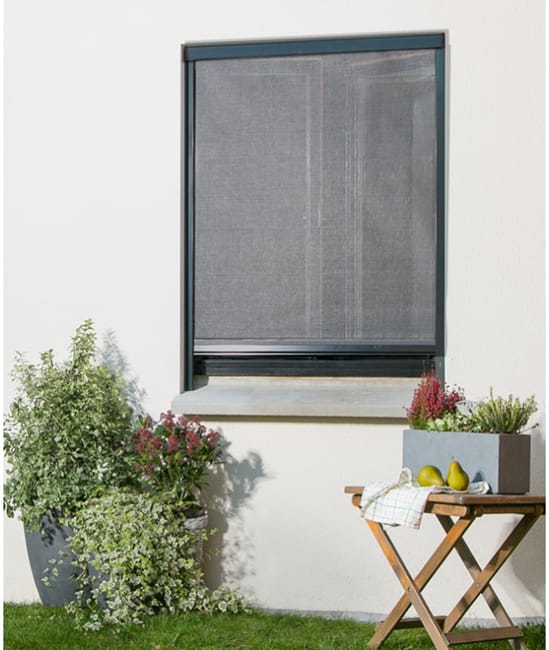 Madecostore Moustiquaire Enroulable En Alu Pour Fenetre Gris Anthracite L160 X H160cm Leroy Merlin Madecostore Moustiquaire Enroulable En Alu Pour Fenetre Gris Anthracite L160 X H160cm Leroy Merlin