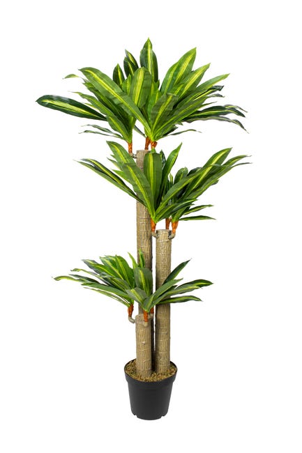 Plante Artificielle Dracaena Hauteur 150 cm | Leroy Merlin