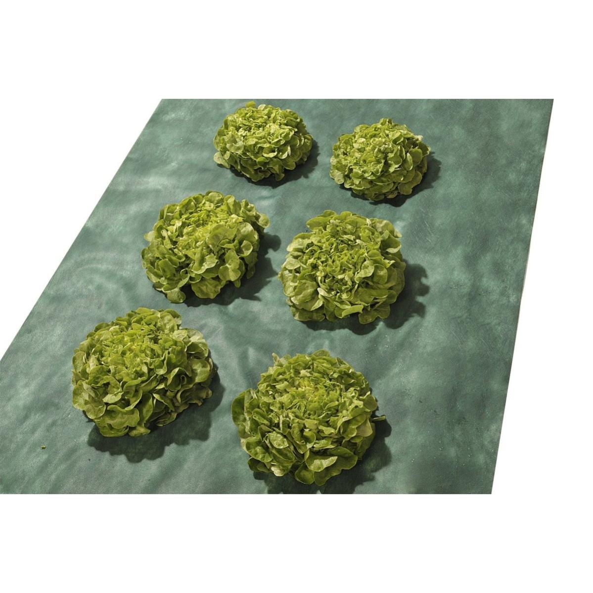 Tela de acolchado 1x15 m -50g /m² - tela de acolchado - tela no tejida con tratamiento uv
