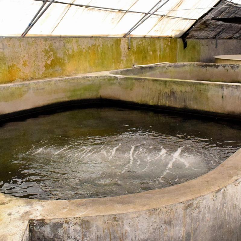 Enduit D Etancheite Piscine Cuve Hors Sol Arcacim S2 Gris Marron Proche Ral 7013 20 Kg Arcane Industries Leroy Merlin