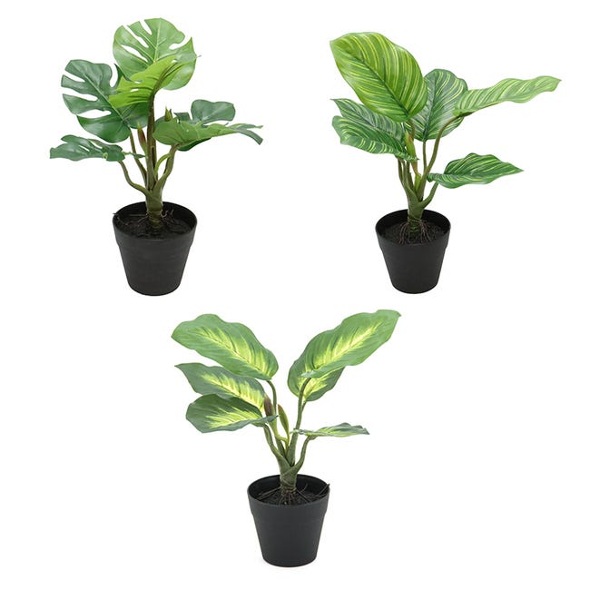 3 plantes tropicales artificielles 25 cm | Leroy Merlin