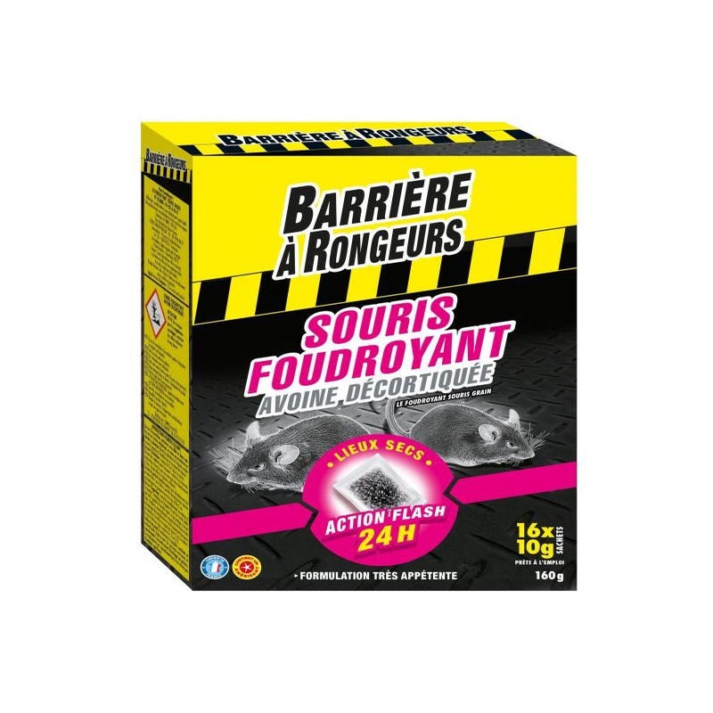 Souricide Souris - Poste Pré Appât Foudroyant 20 Grs ( 2 X 10 Grs ) à Prix  Carrefour