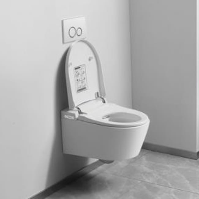 Wc japonais pas sales cher