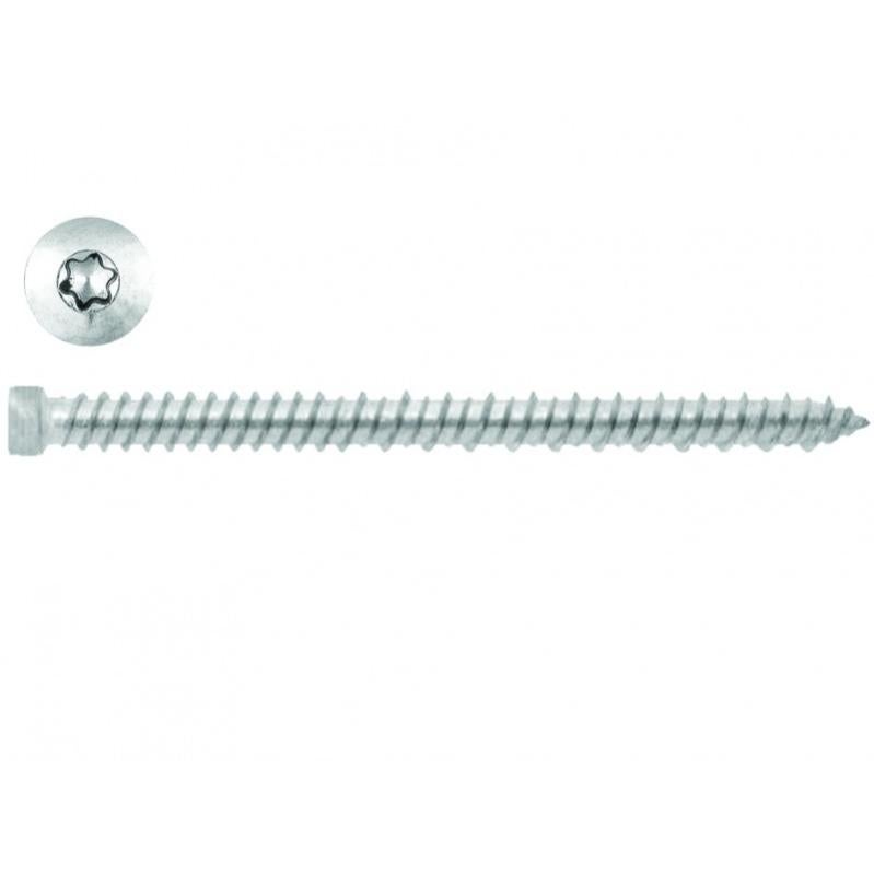 Linsenkopfschrauibe TORX mit PIN Edelstahl V2A VA M3 M4 M5 M6 M8 M10 Sicherheit