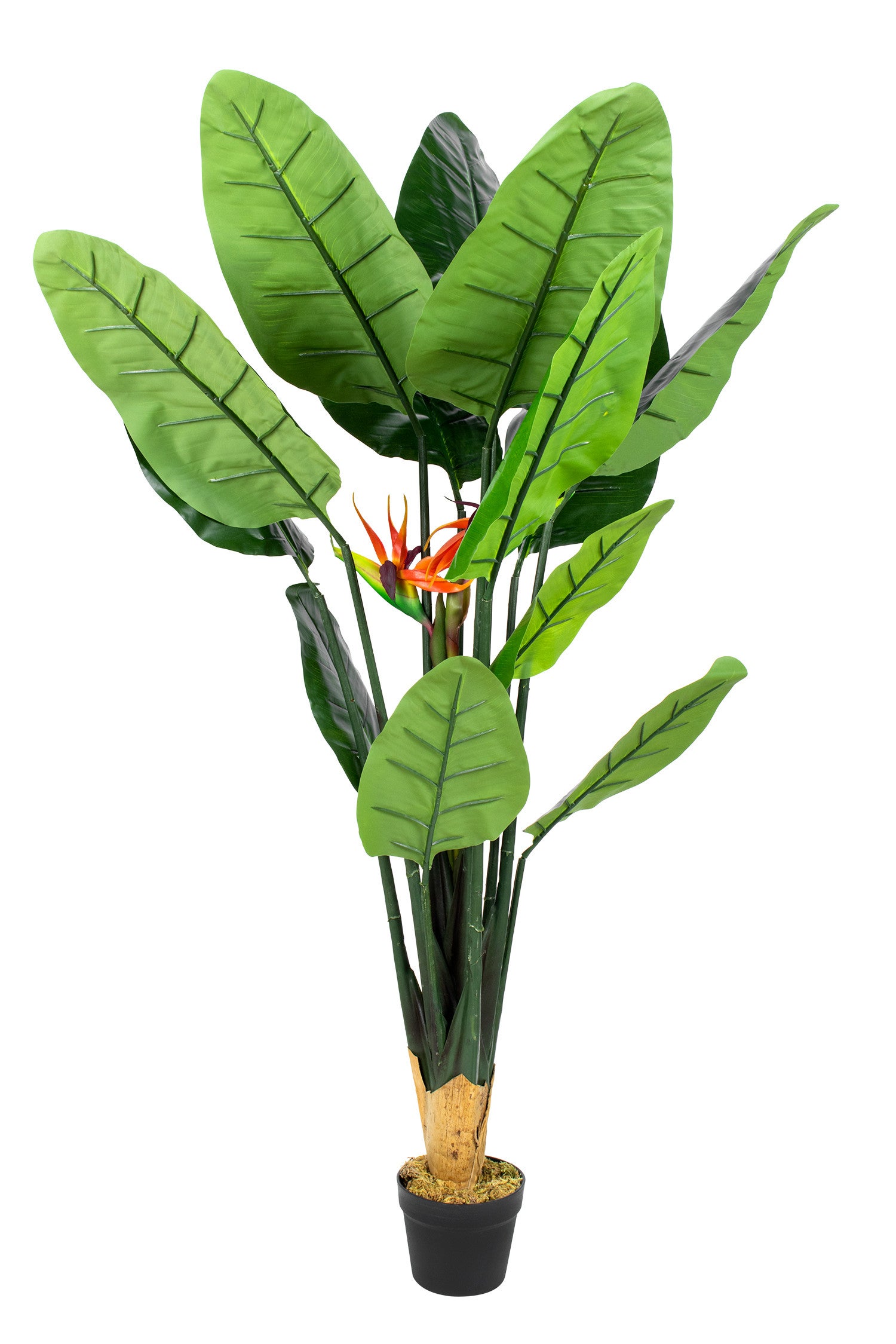 Plante Artificielle Oiseau de Paradis Hauteur 155 cm | Leroy Merlin