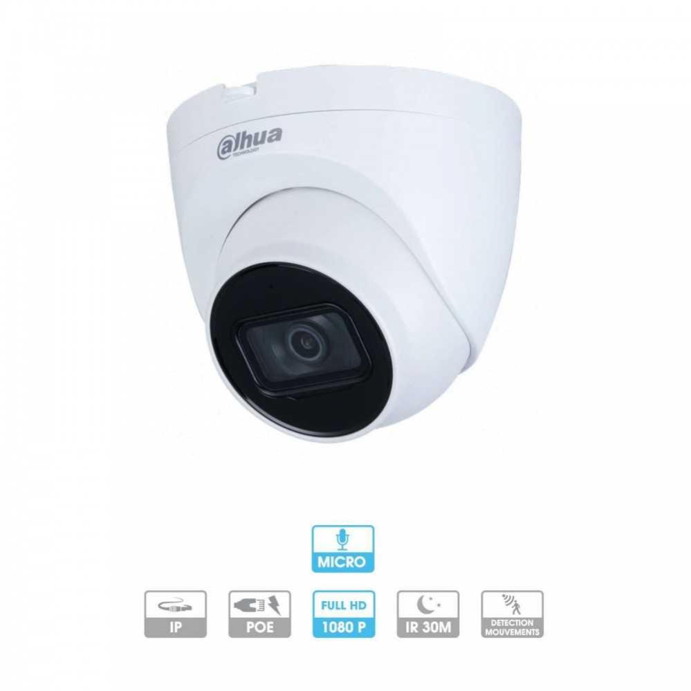 Dahua mini caméra dôme 2MP IP POE Leroy Merlin