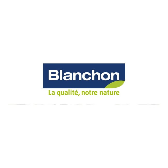 Blanchon - VP Vitrificateur Parquet Chêne Ciré 2,5L