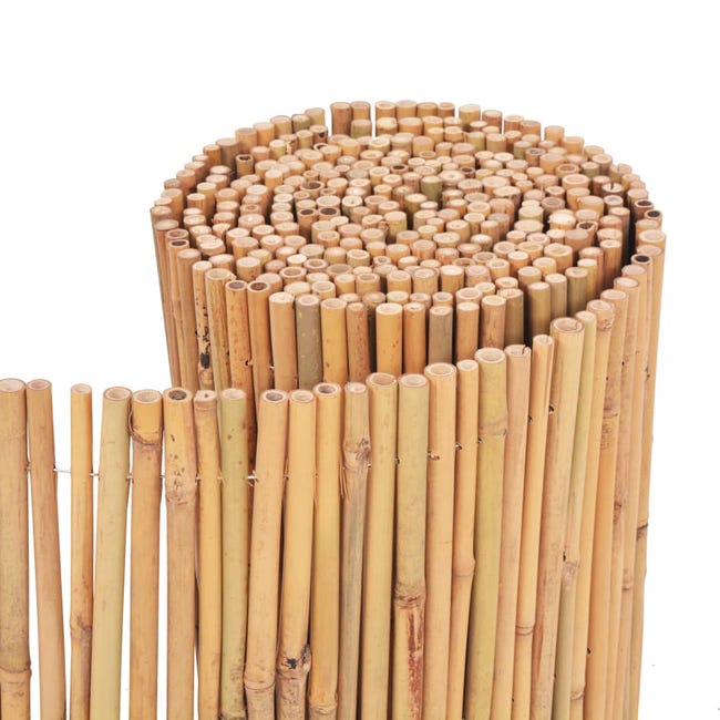 Clôture Bambou Gros Diamètre (35-40 mm) | Couleur clair | Bambou Moso  (Haute qualité)