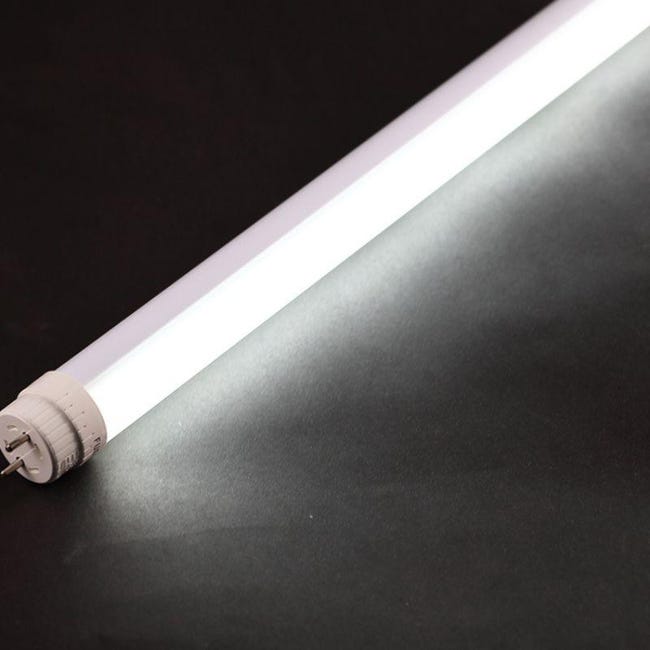 Renne lumineuse tube LED blanc chaud 120 LED h 55 cm courant