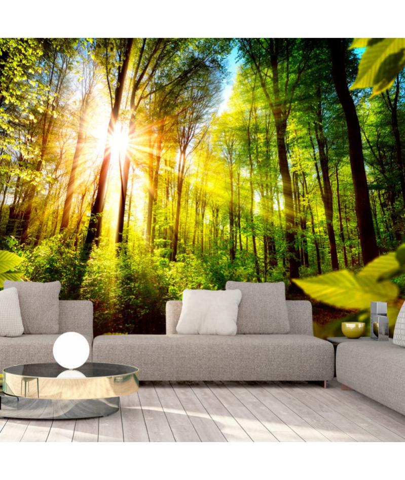 Papier peint Forest Hideout 100x70 Leroy Merlin