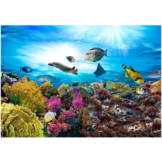 Papier peint adhésif Récif de corail - 98 x 70 cm