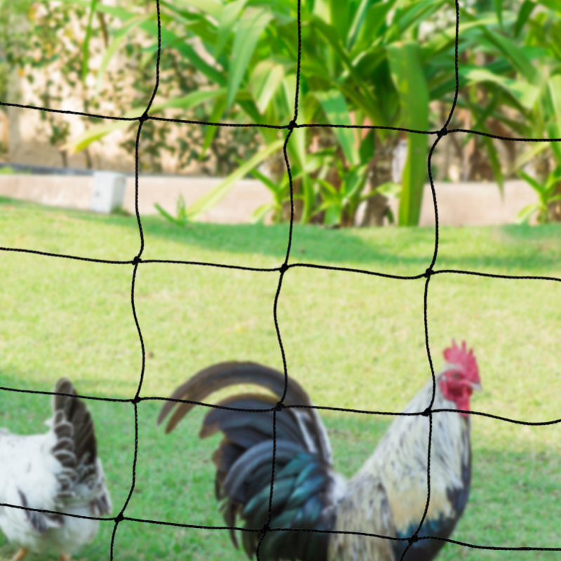 Kit Clôture Filet À Poules 24 M Avec Porte 9 Piquets Double Pointe