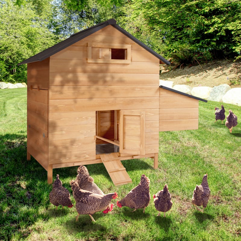 Poulailler de luxe en bois pour jardin exterieur 2-5 poules Cage