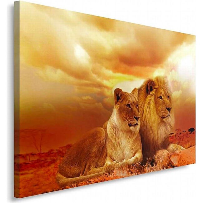 Tableau contemporain photo sur toile lion sauvage - Cadre triptyque