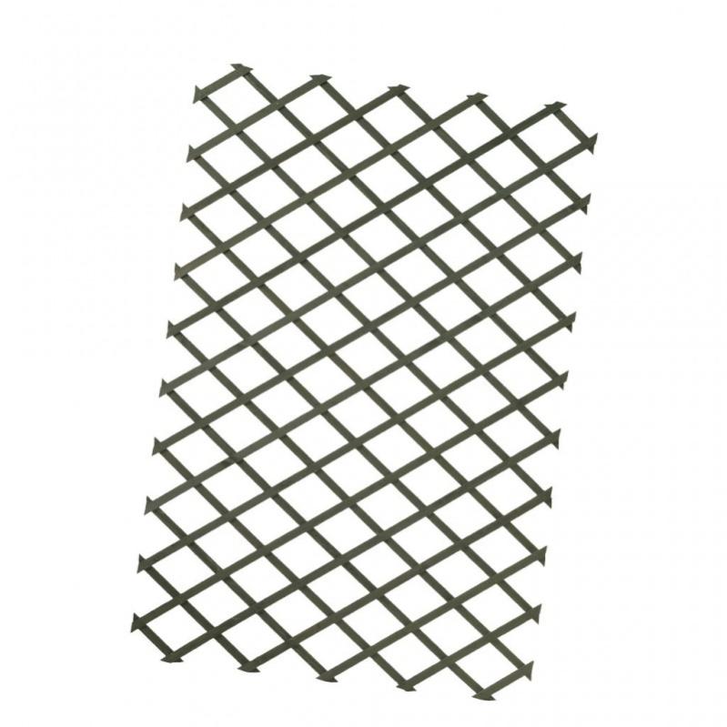 529956_4