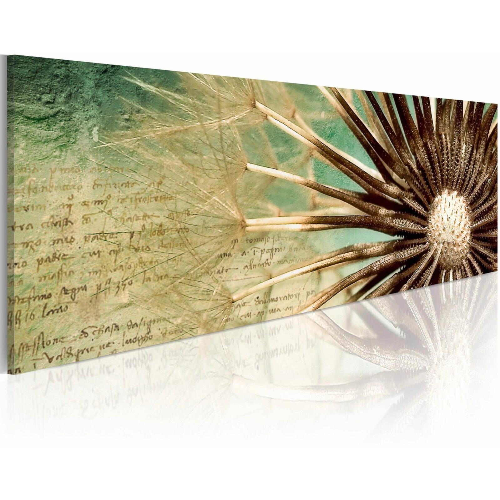 Contec Security Plus Schnellspannset - Diebstahlgeschützt Für Fahrräder