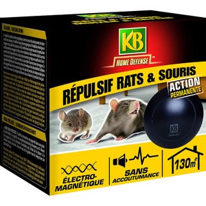 Répulsif à ultrasons Stop rat Weitech