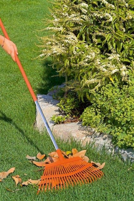 Rastrello Giardino Stampato 16 Denti 40 Cm Senza Manico - Foto 11