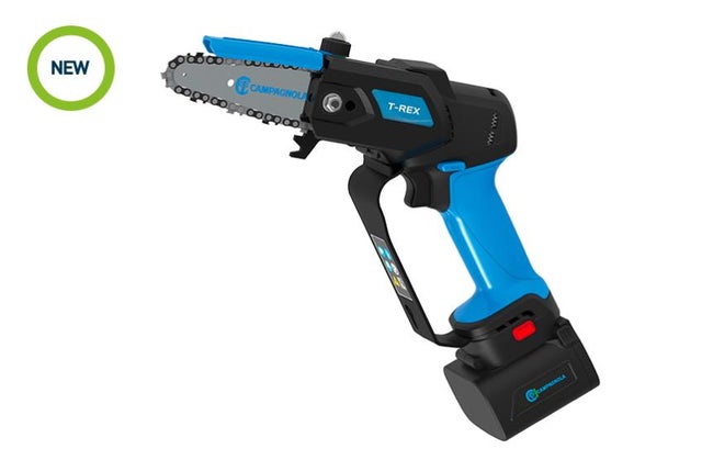 ARNIA NOMADISMO D.B. VERNICIATA 10 FAVI FONDO MOBILE