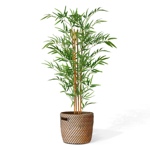 Plante artificielle Agave du Désert 48 cm : fausse plante verte – INSIDE  Box - Shop - Conseil