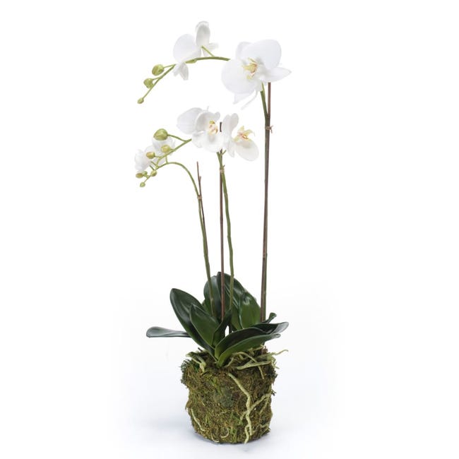 Orchidea phalaenopsis finta CECILE, vaso di ceramica, bianco, 100cm