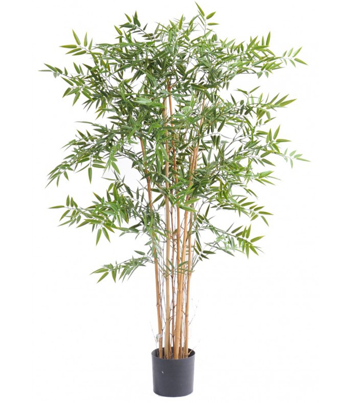 Plante Artificielle Haute Gamme Spécial Extérieur En Bambou Artificiel,  Couleur Verte - Dim : 150 X 75 Cm | Leroy Merlin