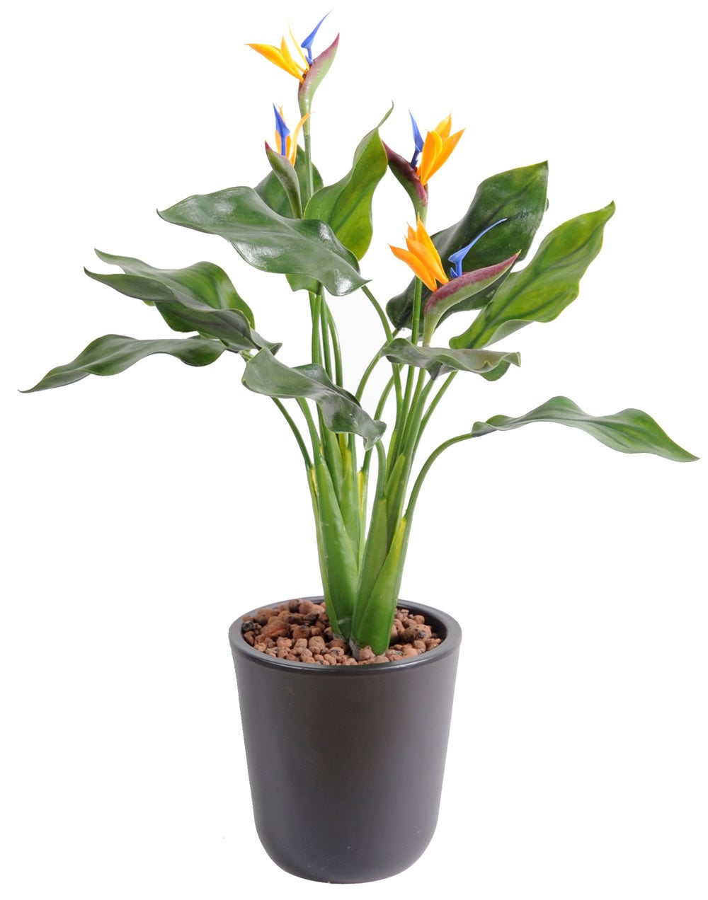 Plante Artificielle Haute Gamme Sp Cial Ext Rieur Strelitzia Artificiel Dim X Cm