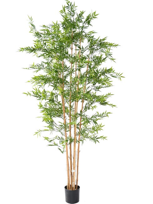 Plante Artificielle Haute Gamme Spécial Extérieur En Bambou Artificiel,  Couleur Verte - Dim : 240 X 110 Cm | Leroy Merlin