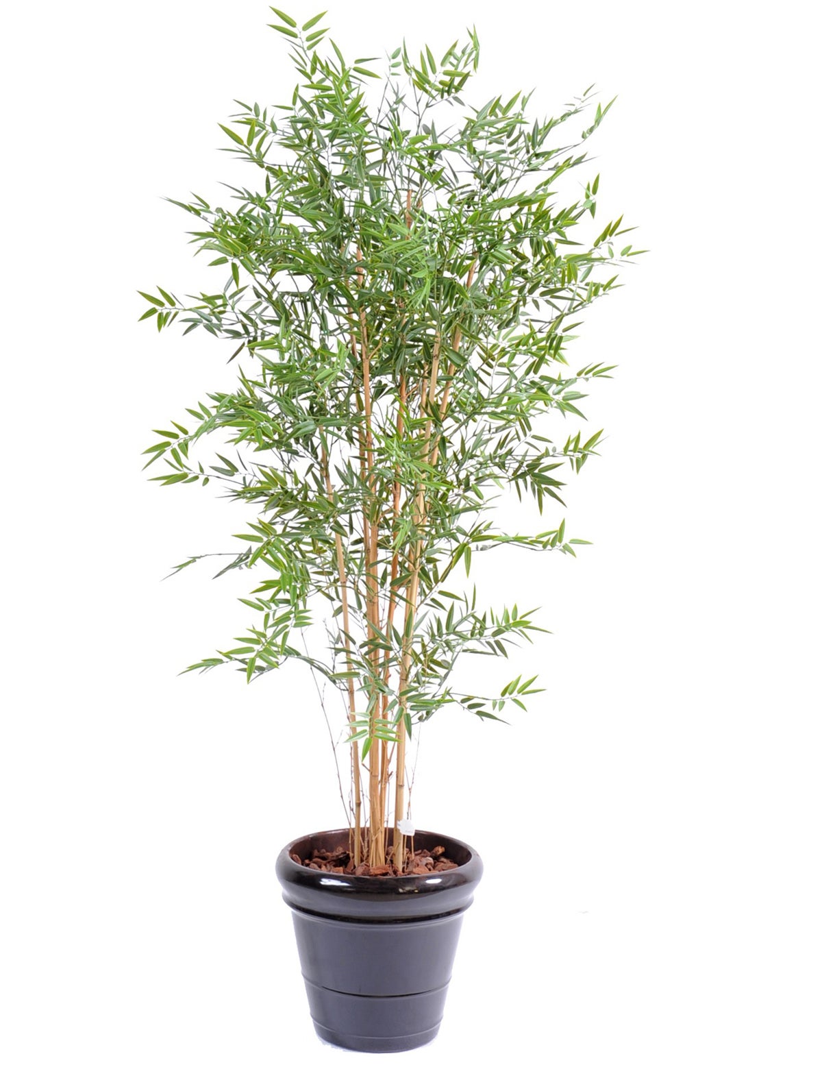 Plante Artificielle Haute Gamme Spécial Extérieur En Bambou Artificiel,  Couleur Verte - Dim : 240 X 110 Cm