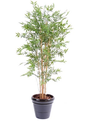 Arbre plante artificielle avec pot plastique pour intérieur ou extérieur 19  x 19 x 160cm 20_0000107