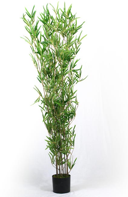 Plante Artificielle Bambou - Hauteur 180 Cm | Leroy Merlin