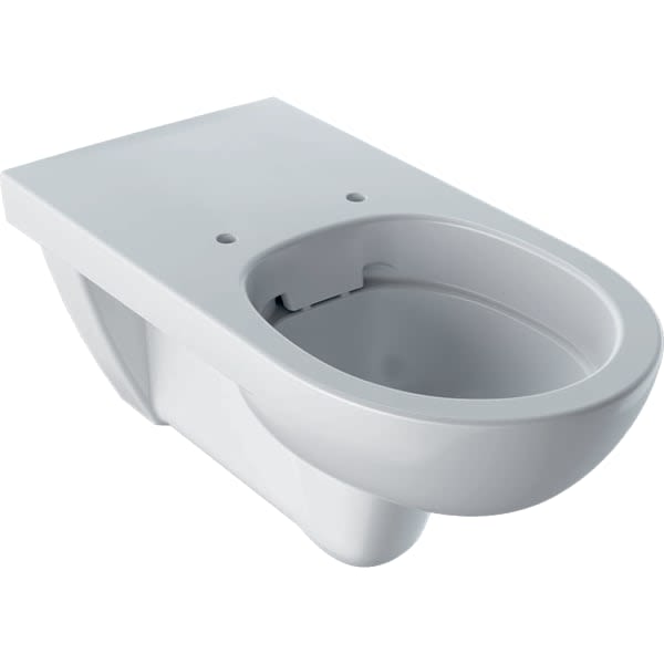 Geberit 300 Basic Lunette cuvette avec couvercle amortisseur pour WC  suspendu Rimfree Blanc - S8H51204000G 