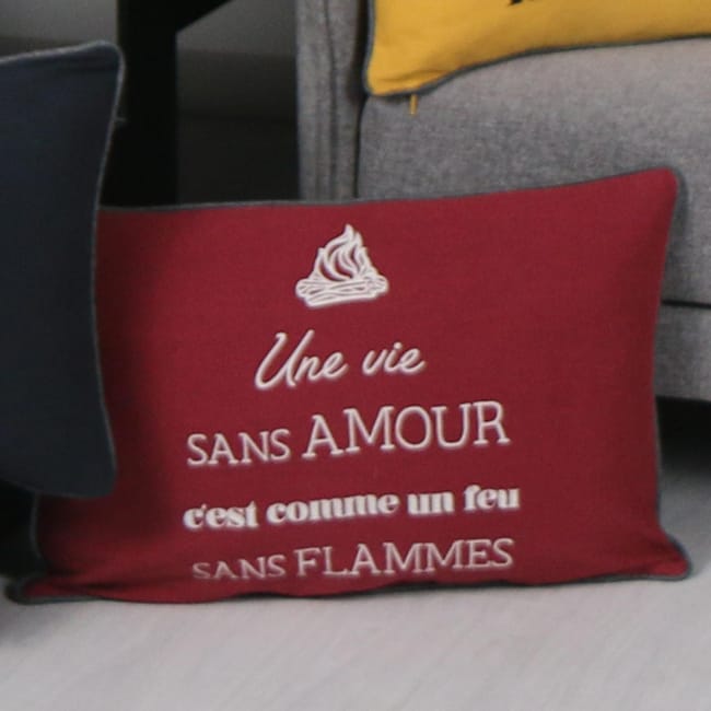Coussin Dehoussable Une Vie Sans Amour Burnt Russet Mat 40 X 60 Cm Coton Leroy Merlin Coussin Dehoussable Une Vie Sans Amour Burnt Russet Mat 40 X 60 Cm Coton Leroy Merlin