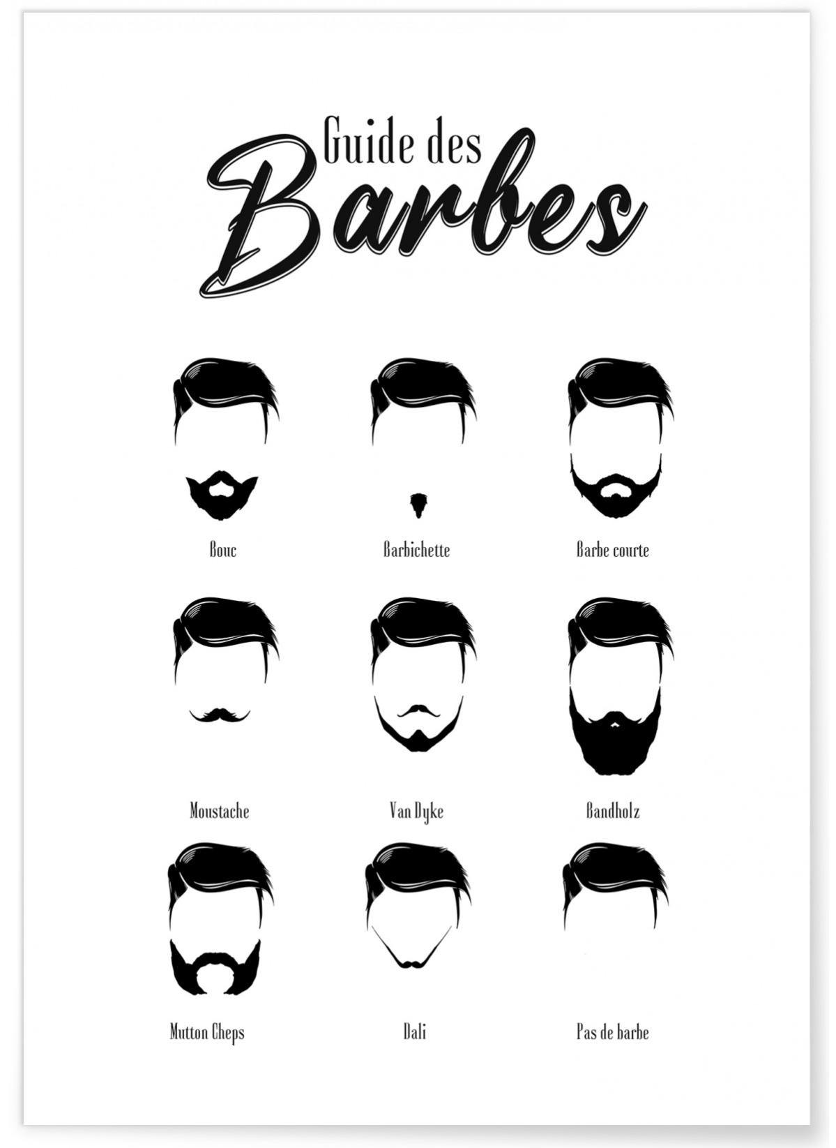 Affiche Guide des barbes Format A3 Leroy Merlin