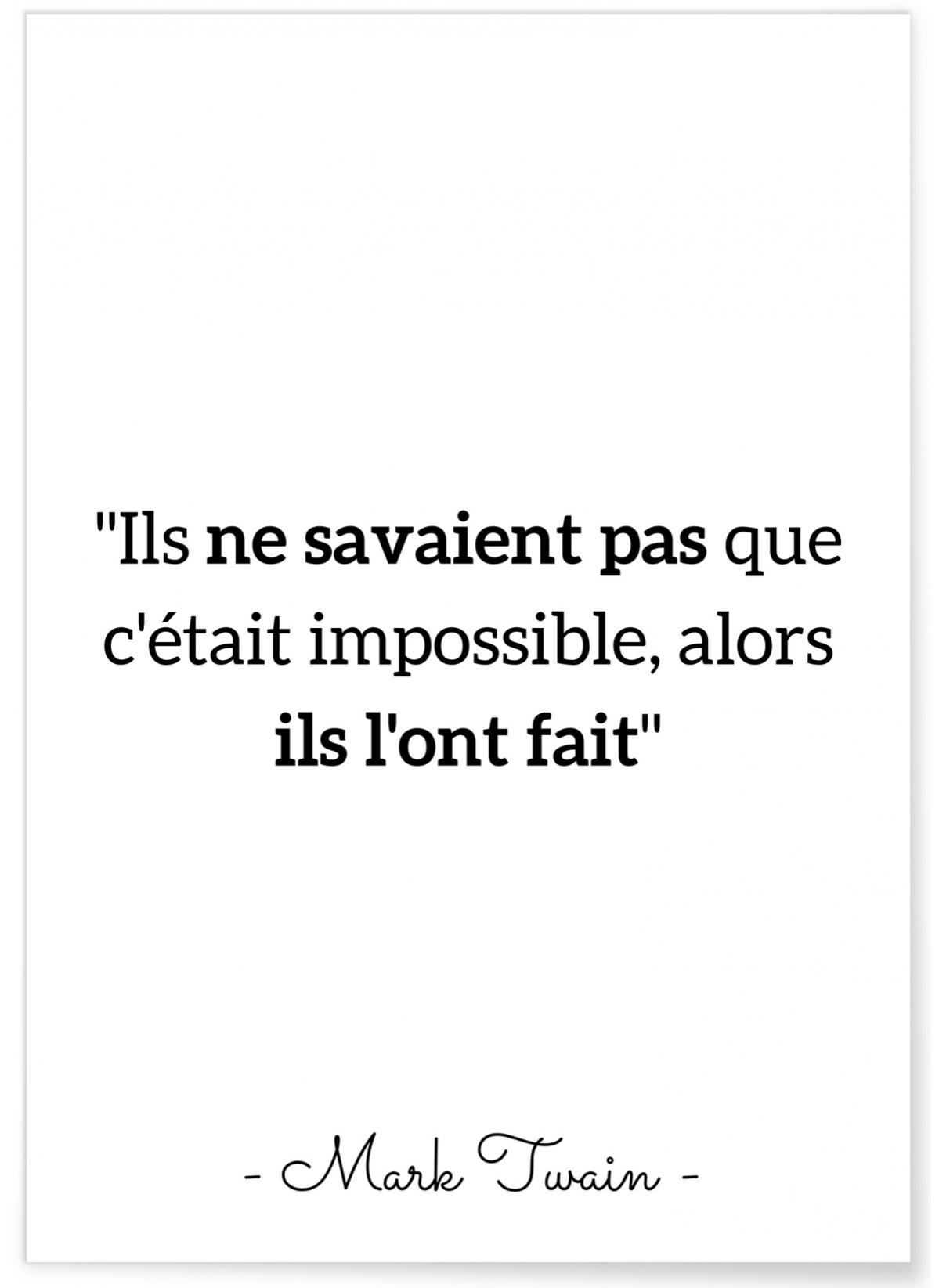 Affiche Mark Twain 'Ils ne savaient pas...' Format A3 Leroy Merlin