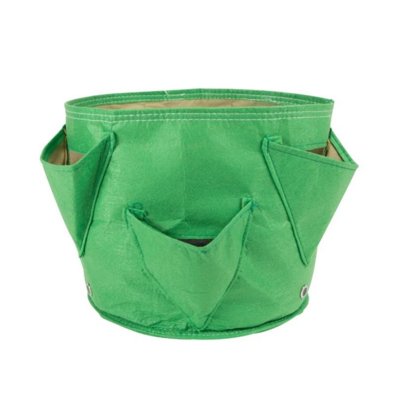 Herb Keeper, contenitore per erbe di coriandolo, menta