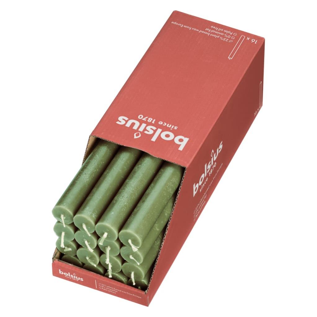 Bougies Bolsius Rustique Conique Ivoire - 27cm - Brûlure 13h - Boîte De 16 - Anti-Goutte