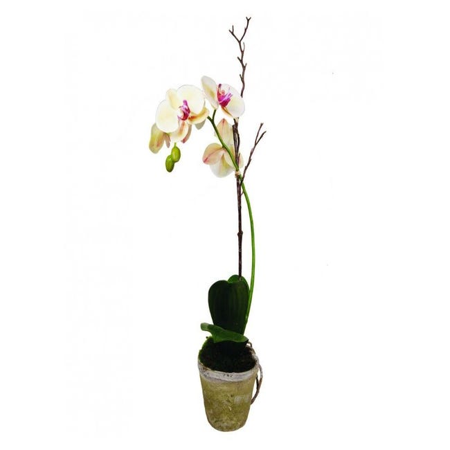 Fleur artificielle SIA Orchidée en pot FILEA - H63 cm - SIA | Leroy Merlin