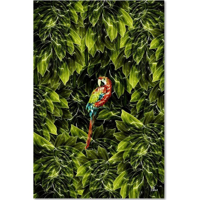 Tableau xxl ara image décor tropical - 70 x 100 cm