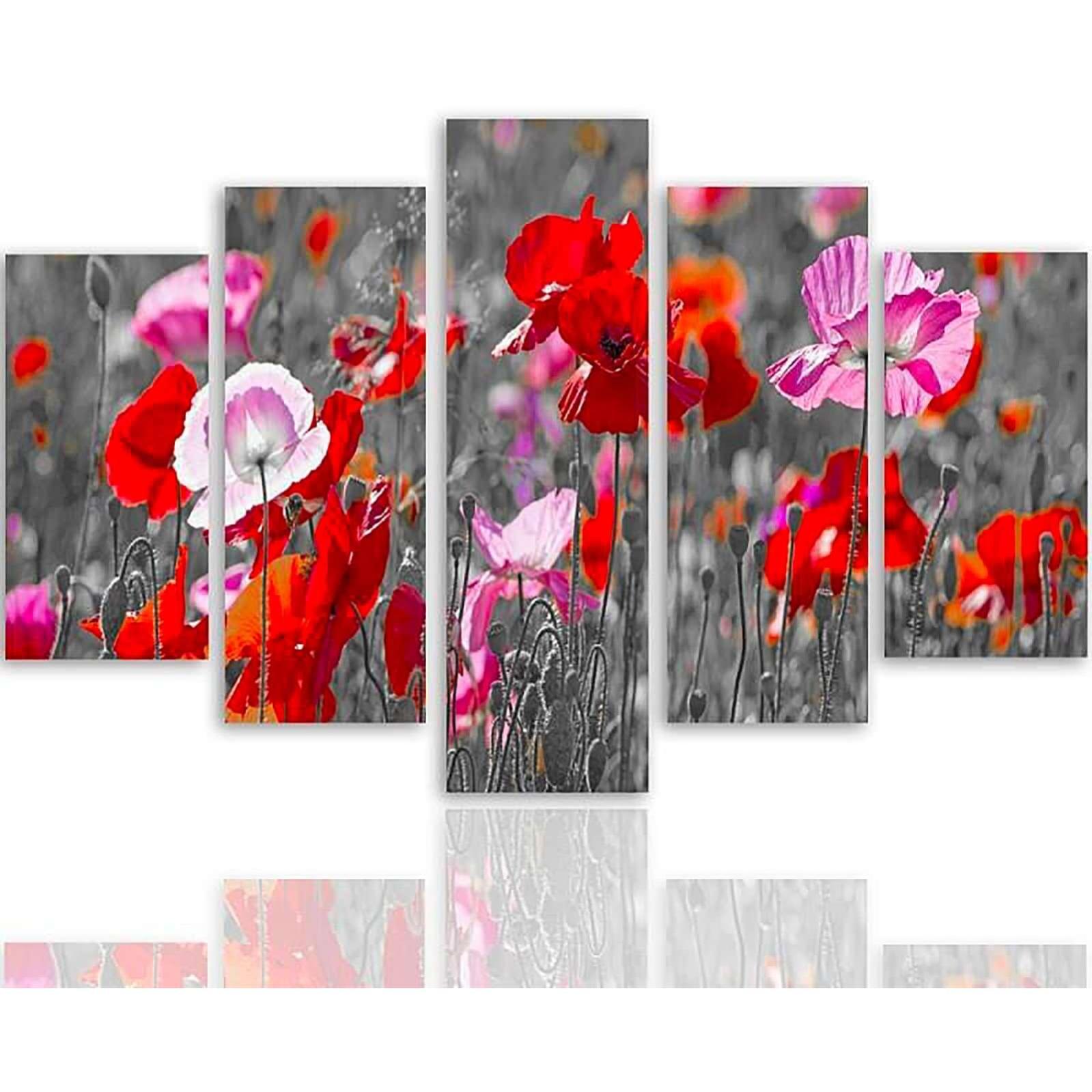 Lot De 2 Cadres Décoration : Coquelicots (33x24cm) Et Panthère (32x26cm) - Neufs