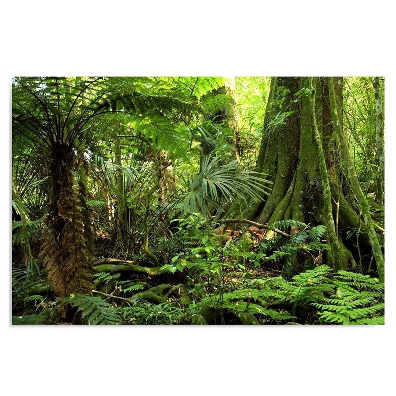 Tableau triptyque jungle jardin d'eden - 90x60 cm