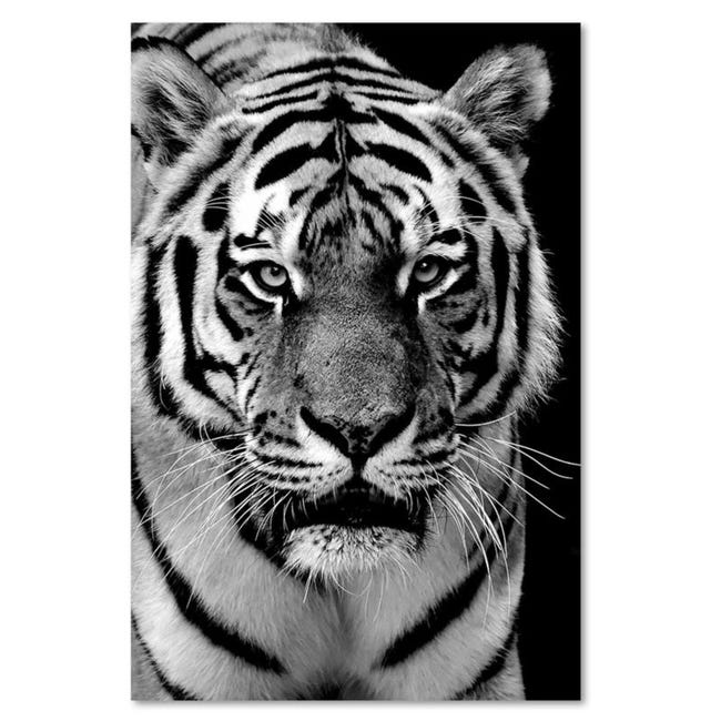Tableau Tigre Noir et Blanc -  –
