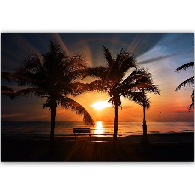 Palmier au coucher du soleil