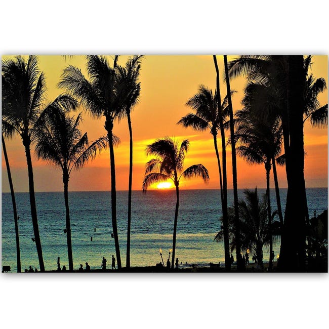 Palmier au coucher du soleil