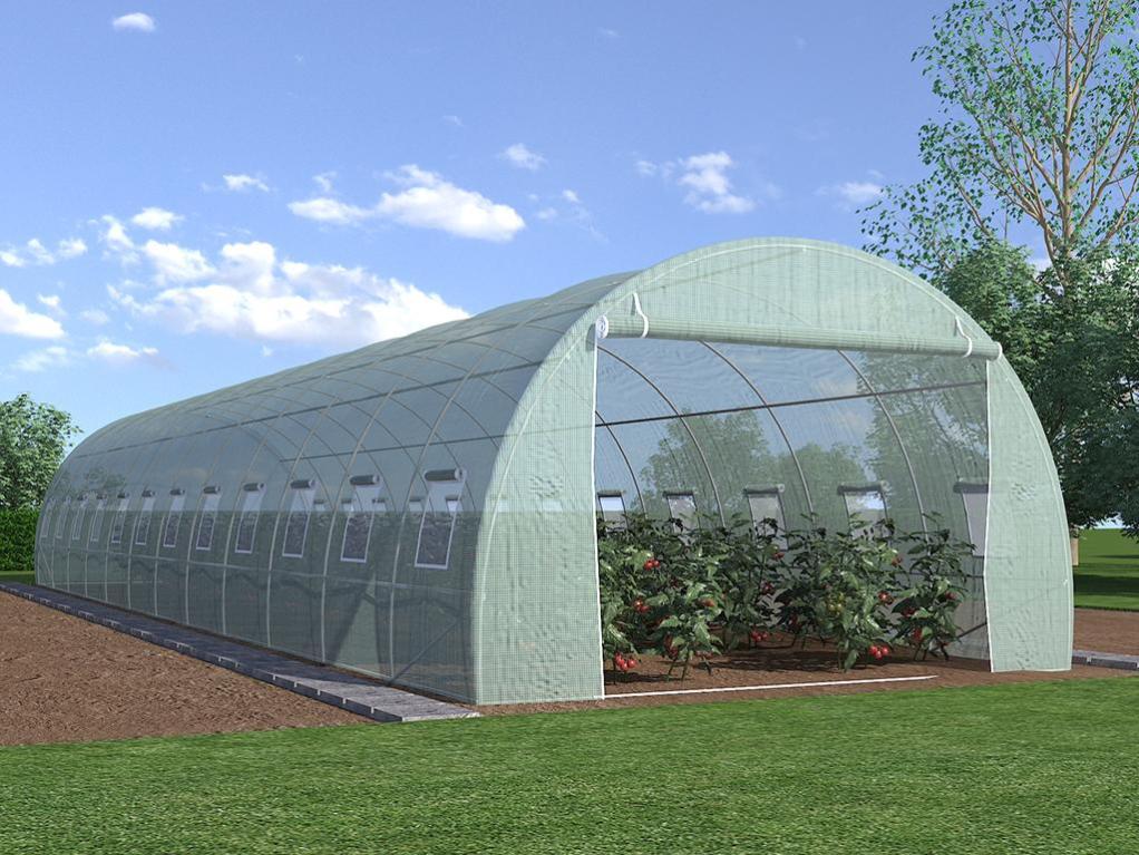 Serre tunnel avec structure en acier 36 m² - L300 x l1200 x H200 cm